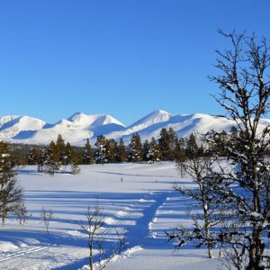 Renålia - refi